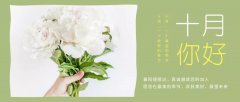 合作經(jīng)營(yíng)，共負(fù)盈虧，原您在最美的季節(jié)，收獲美好，展望未來(lái)